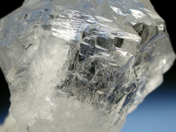 �g���C�S�[�j�b�N���� �p�L�X�^���Y 610g (36)