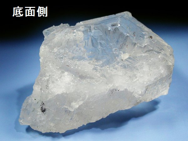 �g���C�S�[�j�b�N���� �p�L�X�^���Y 610g (36)