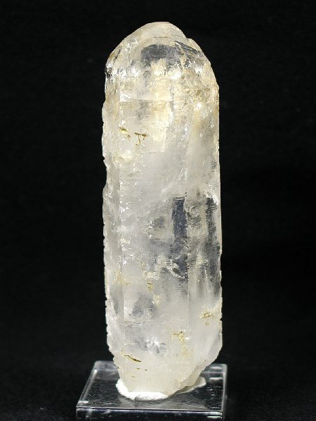 �g���C�S�[�j�b�N���� �u���W���Y 142g (42)