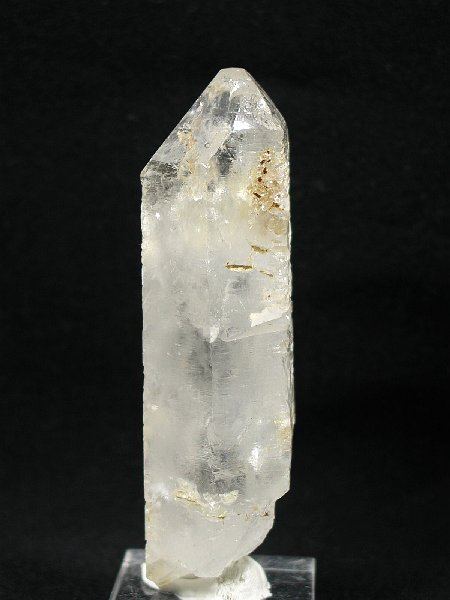 �g���C�S�[�j�b�N���� �u���W���Y 142g (42)