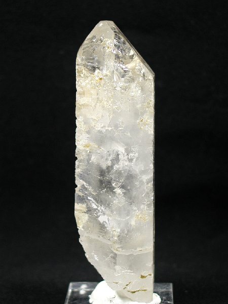 �g���C�S�[�j�b�N���� �u���W���Y 142g (42)