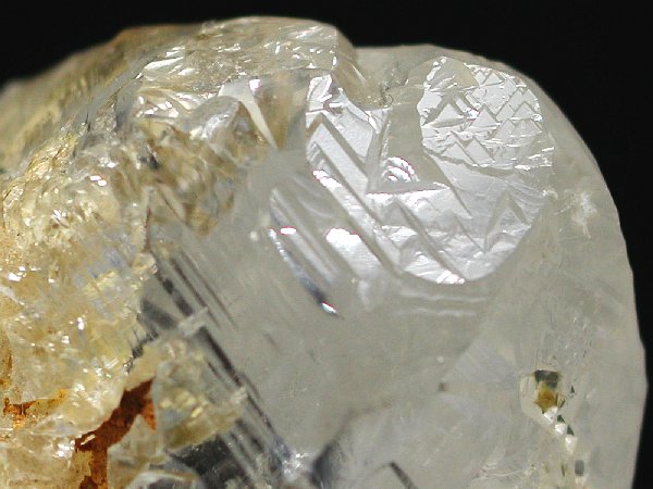 �g���C�S�[�j�b�N���� �u���W���Y 142g (42)