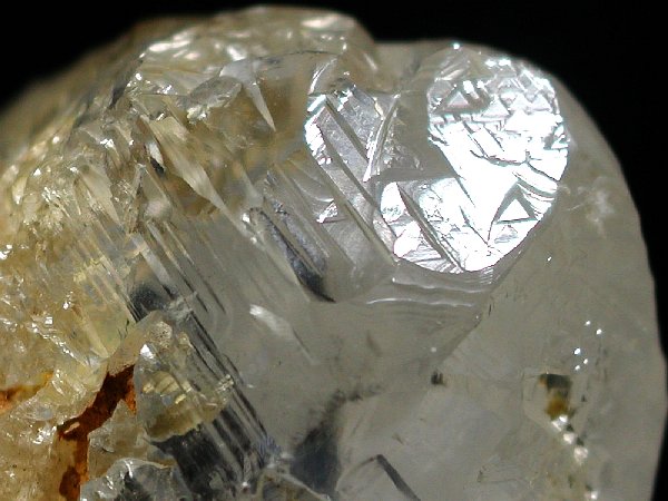 �g���C�S�[�j�b�N���� �u���W���Y 142g (42)