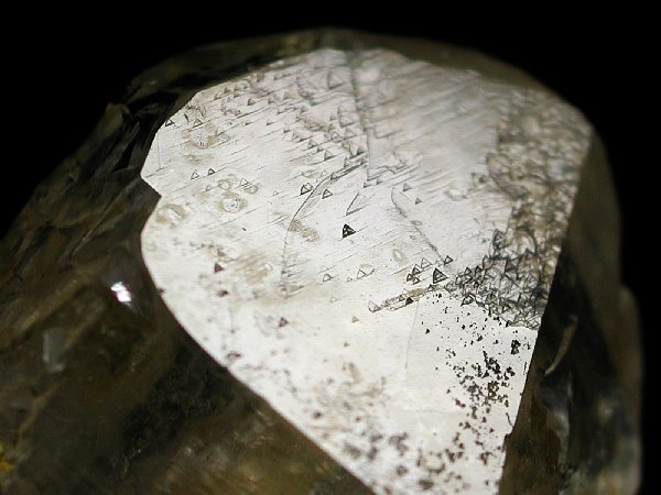 �g���C�S�[�j�b�N���� �u���W���Y 142g (42)