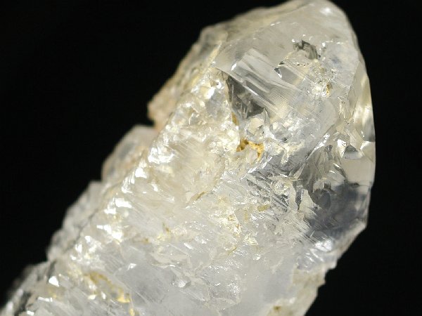 �g���C�S�[�j�b�N���� �u���W���Y 142g (42)