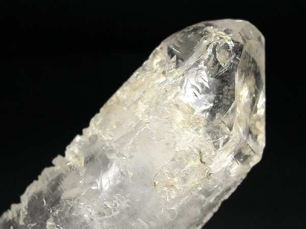 �g���C�S�[�j�b�N���� �u���W���Y 142g (42)