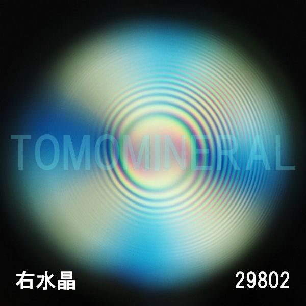 ������ �E�����^�ō����������C�V�R�����ۋ�3A 29.8mm (29802)