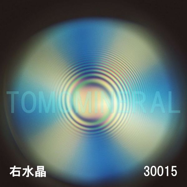 ������ �E�����^�ō����������C�V�R�����ۋ�3A 30mm (30015)