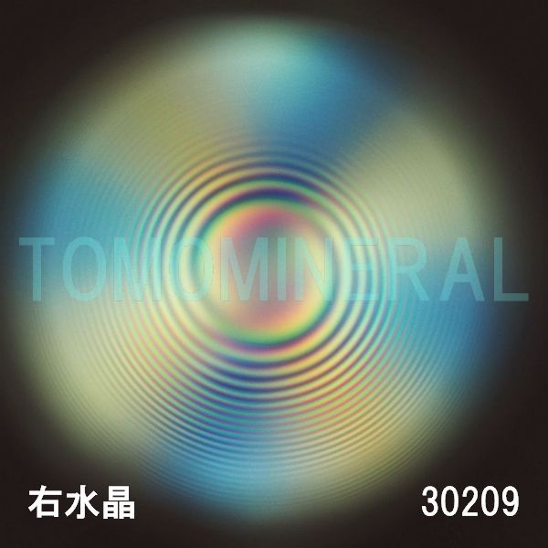 ������ �E�����^�ō����������C�V�R�����ۋ�3A 30.2mm (30209)