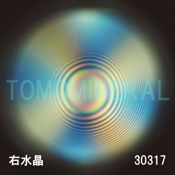 ������ �E�����^�ō����������C�V�R�����ۋ�3A 30.3mm (30317)