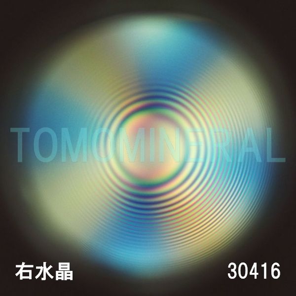 ������ �E�����^�ō����������C�V�R�����ۋ�3A 30.4mm (30416)