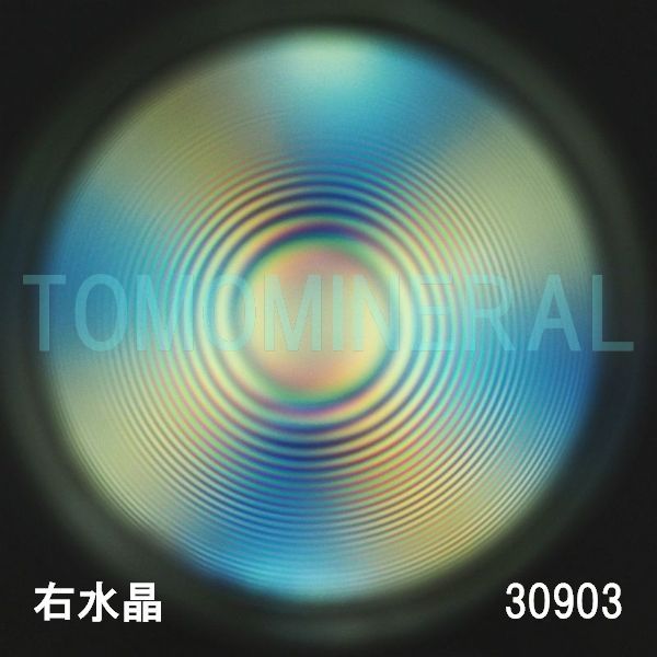 ������ �E�����^�ō����������C�V�R�����ۋ�3A 30.9mm (30903)