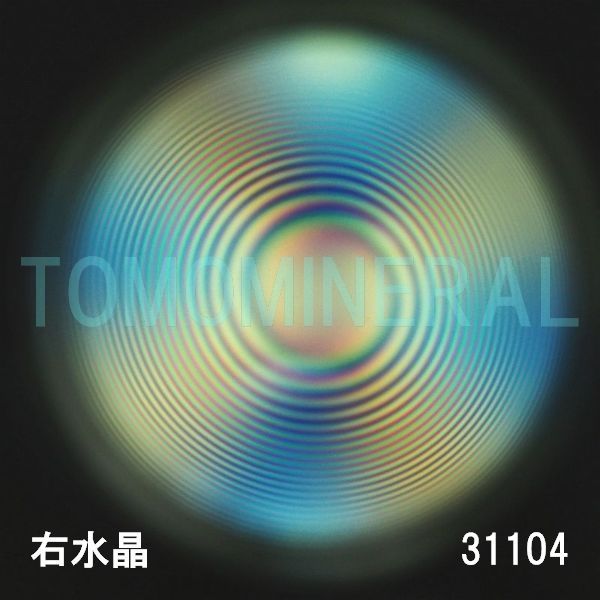 ������ �E�����^�ō����������C�V�R�����ۋ�3A 31.1mm (31104)