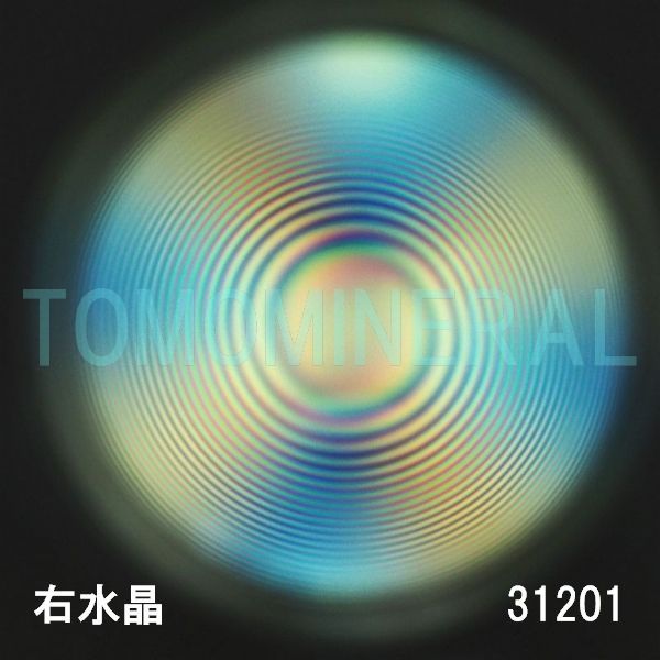 ������ �E�����^�ō����������C�V�R�����ۋ�3A 31.2mm (31201)