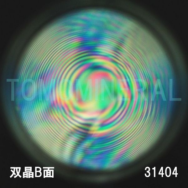 ������ �o���^�ō����������C�V�R�����ۋ�3A 31.4mm (31404)