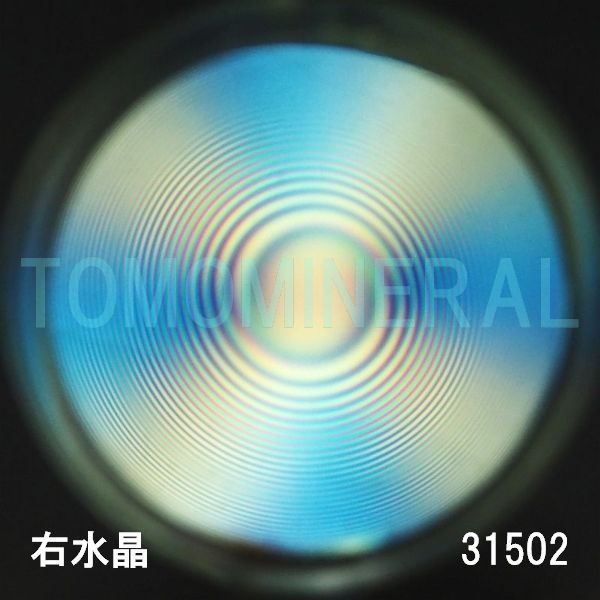 ������ �E�����^�ō����������C�V�R�����ۋ�3A 31.5mm (31502)