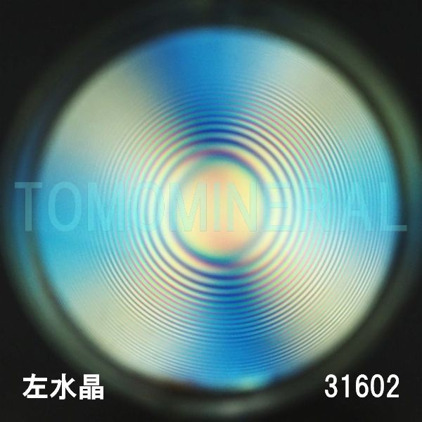 ������ �������^�ō����������C�V�R�����ۋ�3A 31.6mm (31602)