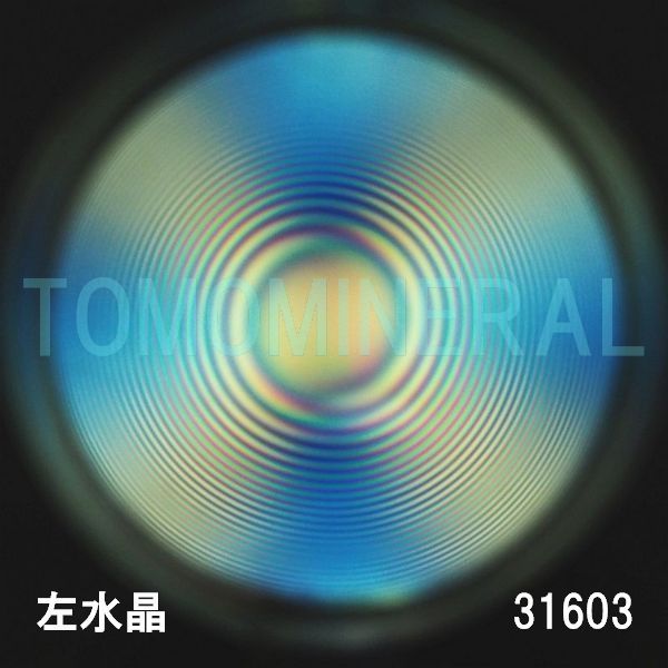 ������ �������^�ō����������C�V�R�����ۋ�3A 31.6mm (31603)