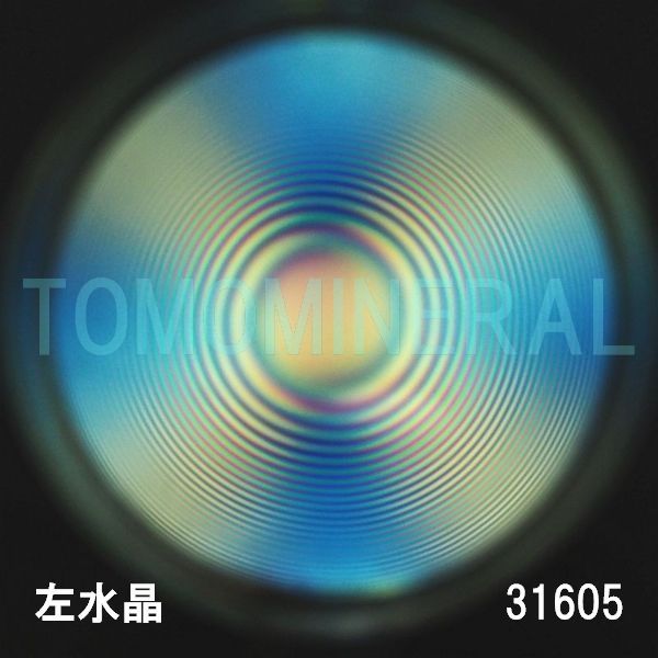 ������ �������^�ō����������C�V�R�����ۋ�3A 31.6mm (31605)