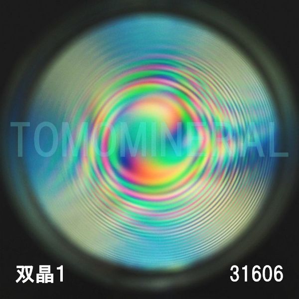 ������ �o���^�ō����������C�V�R�����ۋ�3A 31.6mm (31606)