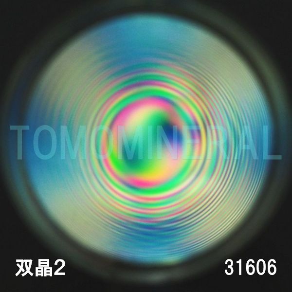 ������ �o���^�ō����������C�V�R�����ۋ�3A 31.6mm (31606)