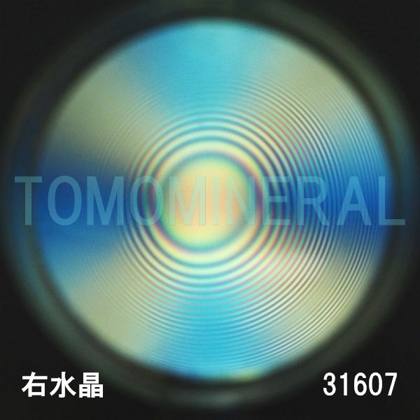 ������ �E�����^�ō����������C�V�R�����ۋ�3A 31.6mm (31607)