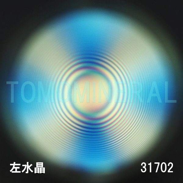 ������ �������^�ō����������C�V�R�����ۋ�3A 31.7mm (31702)