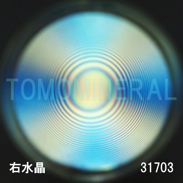 ������ �E�����^�ō����������C�V�R�����ۋ�3A 31.7mm (31703)