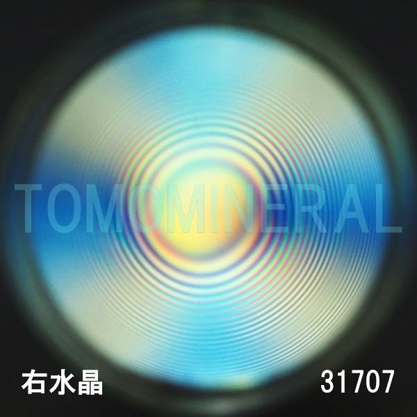 ������ �E�����^�ō����������C�V�R�����ۋ�3A 31.7mm (31707)