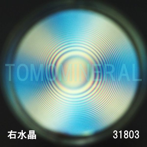 ������ �E�����^�ō����������C�V�R�����ۋ�3A 31.8mm (31803)