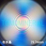 �G�A���[�X�p�C��������<br> �V�R������ �E����<br> 29.7mm (0973)