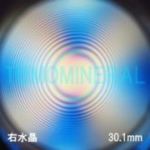 �G�A���[�X�p�C��������<br> �V�R������ �E����<br> 30.1mm (1012)