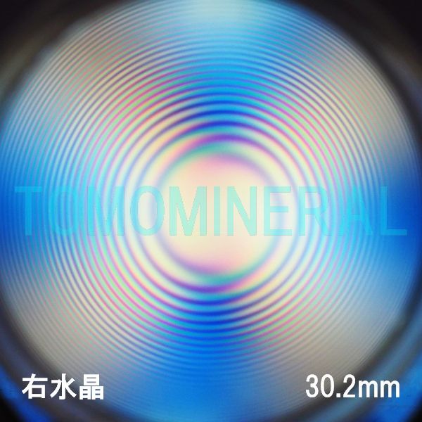 �G�A���[�X�p�C�������� �V�R������ �E���� 30.2mm (1014)