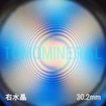 �G�A���[�X�p�C��������<br> �V�R������ �E����<br> 30.2mm (1014)