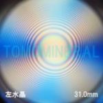 �G�A���[�X�p�C��������<br> �V�R������ ������<br> 31.0mm (1053)