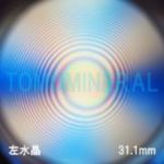 �G�A���[�X�p�C��������<br> �V�R������ ������<br> 31.1mm (1054)