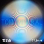 �G�A���[�X�p�C��������<br> �V�R������ ������<br> 31.2mm (1064)