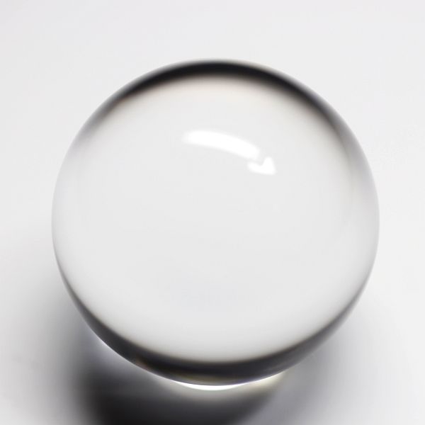 �G�A���[�X�p�C�������� �V�R������ ������ 31.2mm (1064)