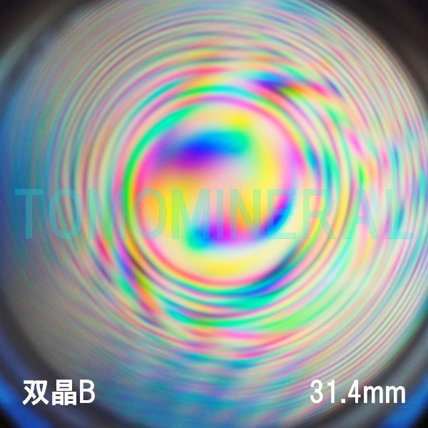 �G�A���[�X�p�C�������� �V�R������ �o�� 31.4mm (1082)