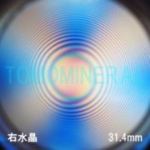 �G�A���[�X�p�C��������<br> �V�R������ �E����<br> 31.4mm (1083)