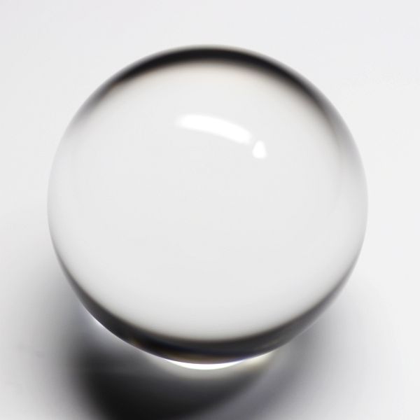 �G�A���[�X�p�C�������� �V�R������ �E���� 31.4mm (1084)