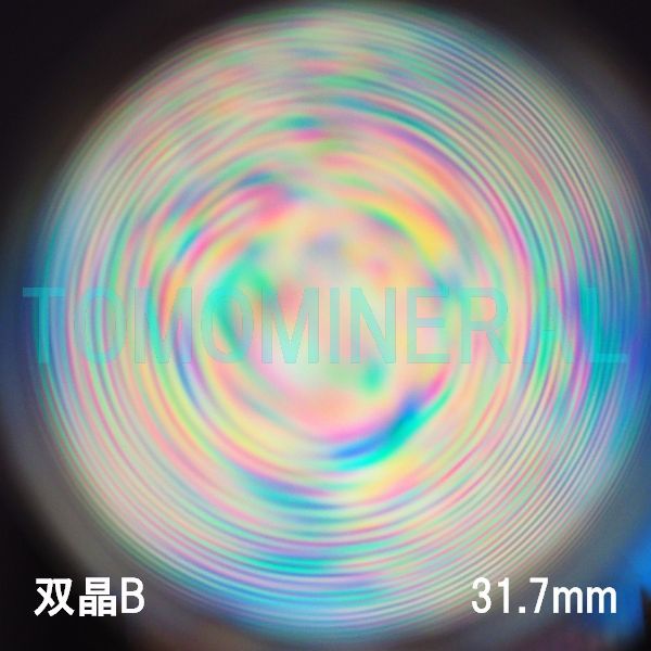 �G�A���[�X�p�C�������� �V�R������ �o�� 31.7mm (1101)