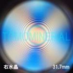 �G�A���[�X�p�C��������<br> �V�R������ �E����<br> 31.7mm (1103)