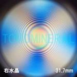 �G�A���[�X�p�C��������<br> �V�R������ �E����<br> 31.7mm (1104)