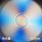 �G�A���[�X�p�C��������<br> �V�R������ �E����<br> 32.8mm (1163)