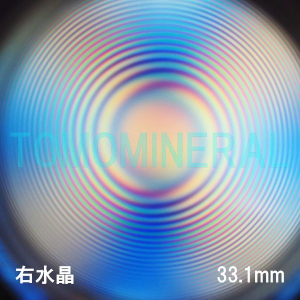 �G�A���[�X�p�C�������� �V�R������ �E���� 33.1mm (1171)