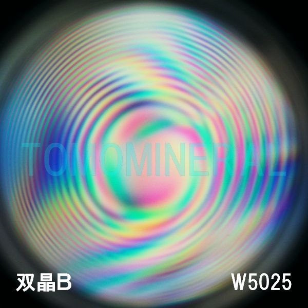 �����ʁE�o�� �ō����V�R�����ۋ�3A �ӕʏ��t(W5025) 30.3mm