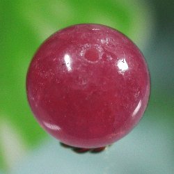 CJ[Y3A++ۋʃr[Y(4)12mm
