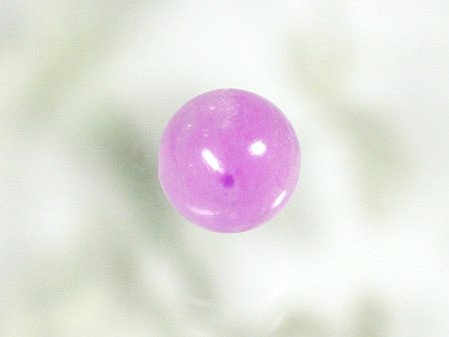 XMCgTOPۋʃr[Y(55)8mmi
