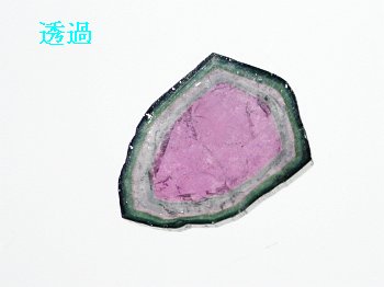 EH[^[g}6.5ct